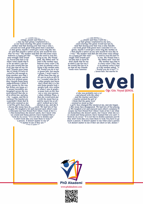 Level 2 Kitap Kapağı